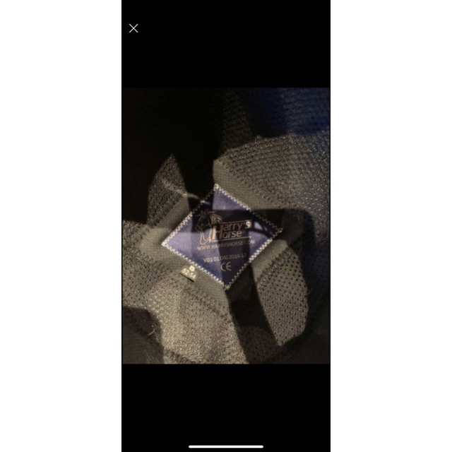 Bombe enfant Harry horse