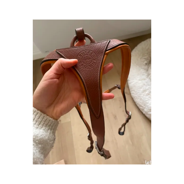 Collier de chasse butet