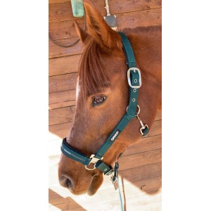 Licol et longe Eskadron