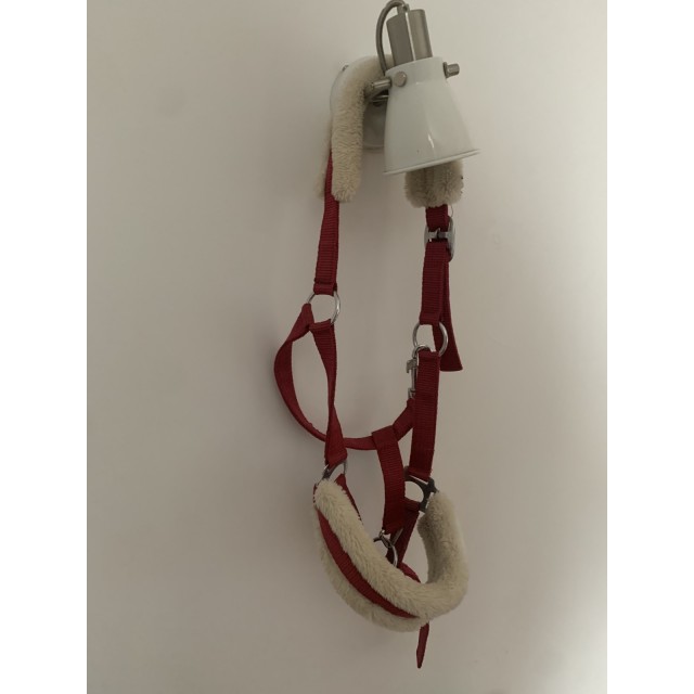 Licol Équithème rouge avec moumoute