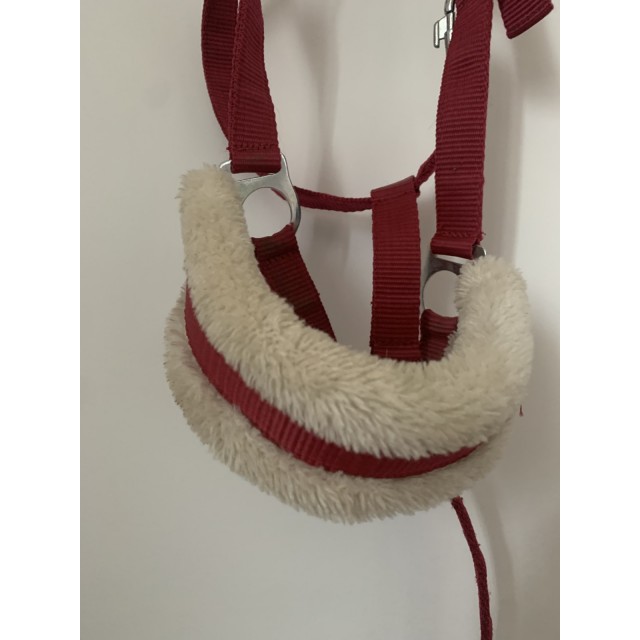 Licol Équithème rouge avec moumoute