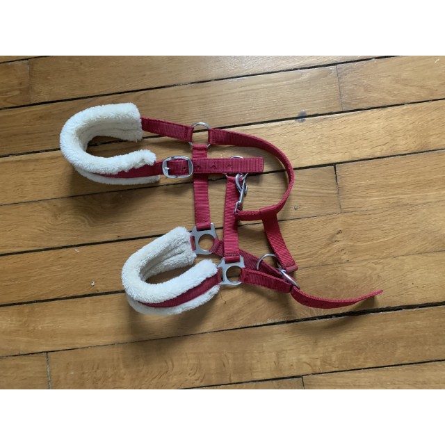 Licol Équithème rouge avec moumoute