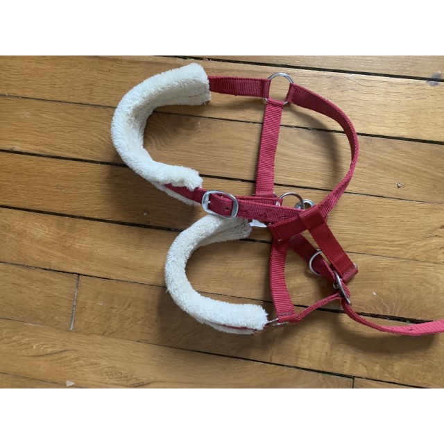 Licol Équithème rouge avec moumoute