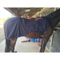 Couvre rein Paddock Sport