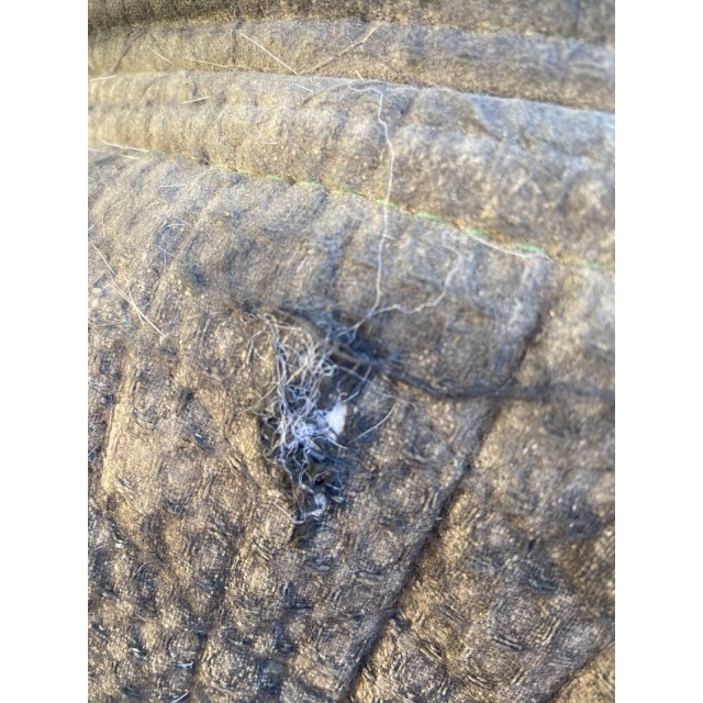 Tapis kentucky velvet vert sapin
