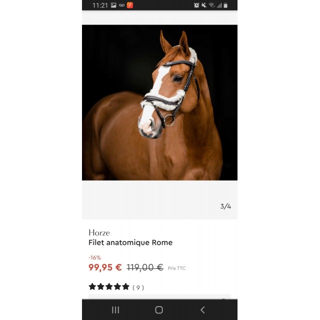 Bridon marron avec mouton