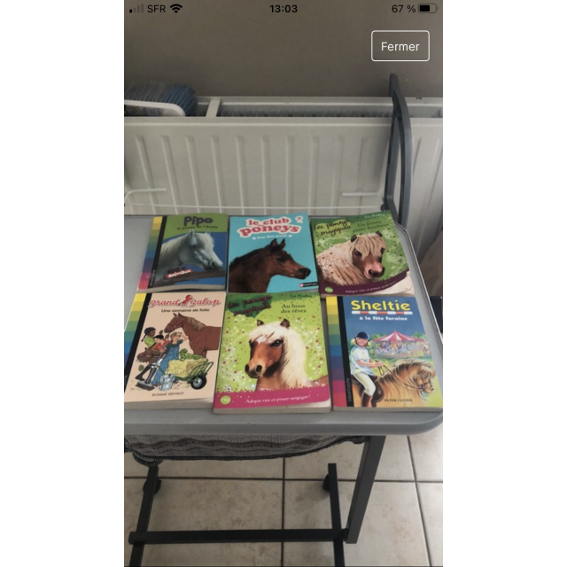 Lot de 6 livres Poneys