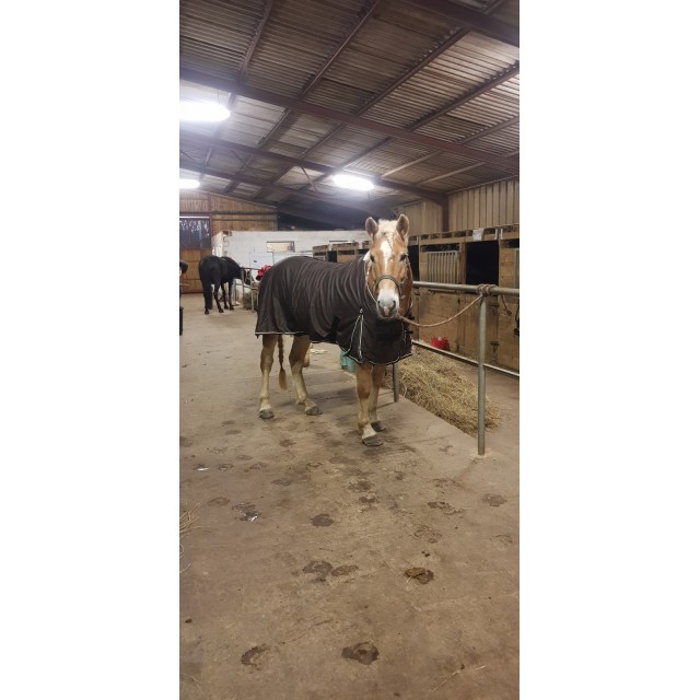 Chemise d'écurie fouganza