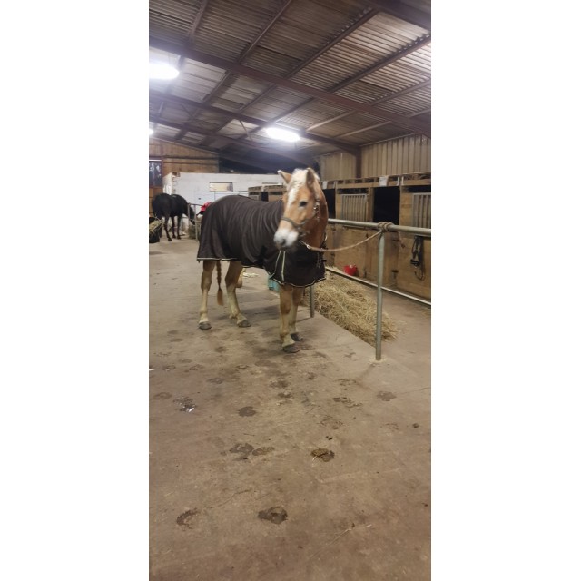 Chemise d'écurie fouganza