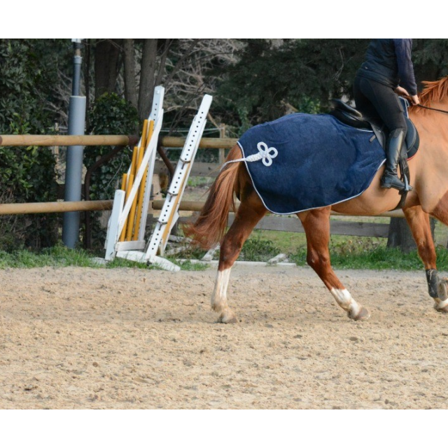 Couvre-rein Canter