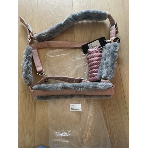 Licol de equestrian Stockholm