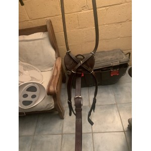 Collier de chasse Dy’on