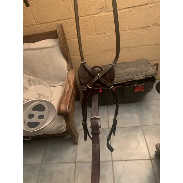 Collier de chasse Dy’on