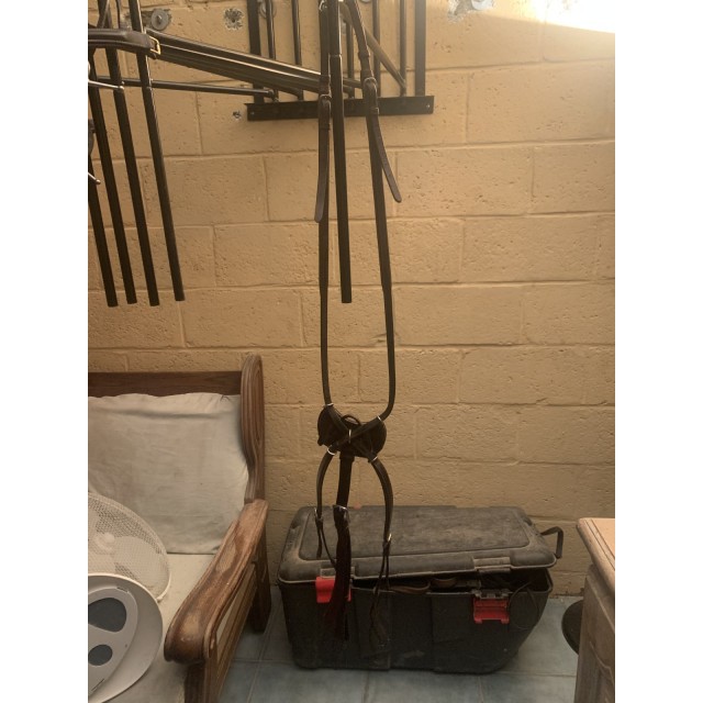 Collier de chasse Dy’on