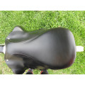 selle dressage Altaïr 17,5