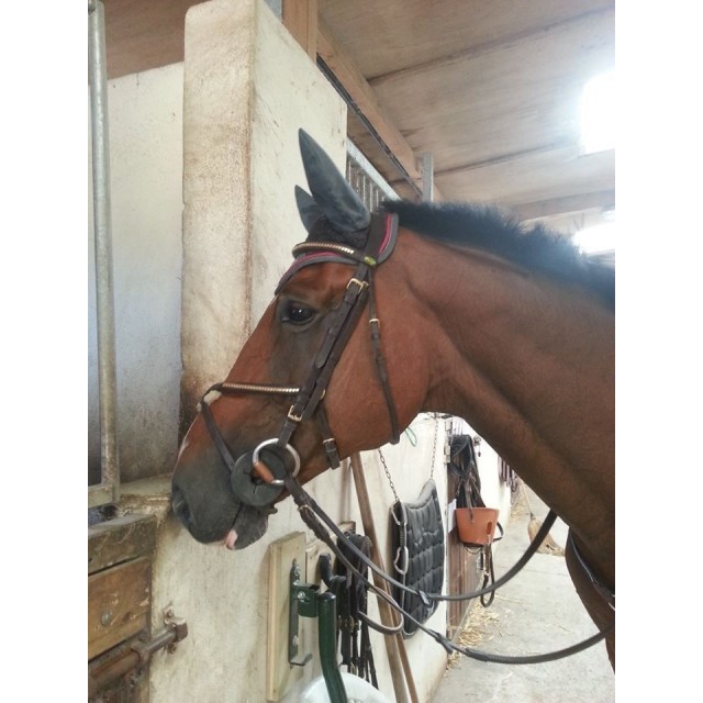 Filet clincher Protanner