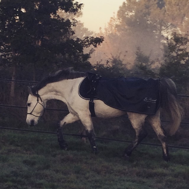 Couvre reins BR imperméable et polaire