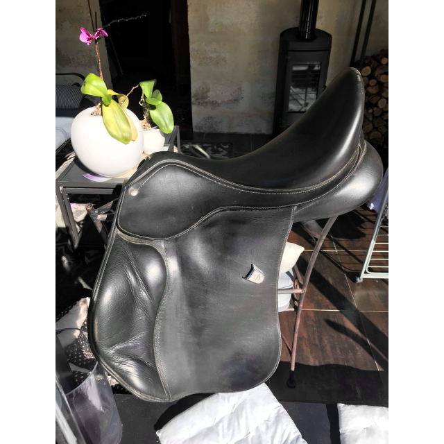 Selle Bates 18''