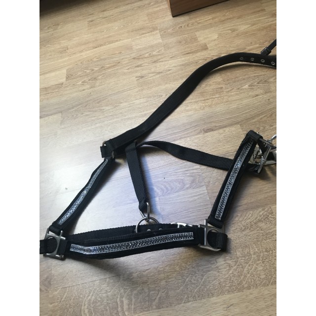 Licol cheval noir avec strass