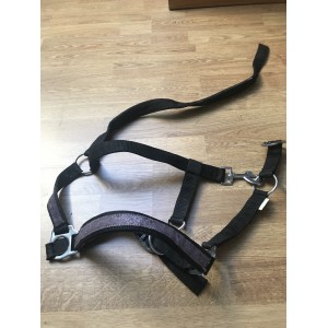 Licol sans longe avec paillettes COB