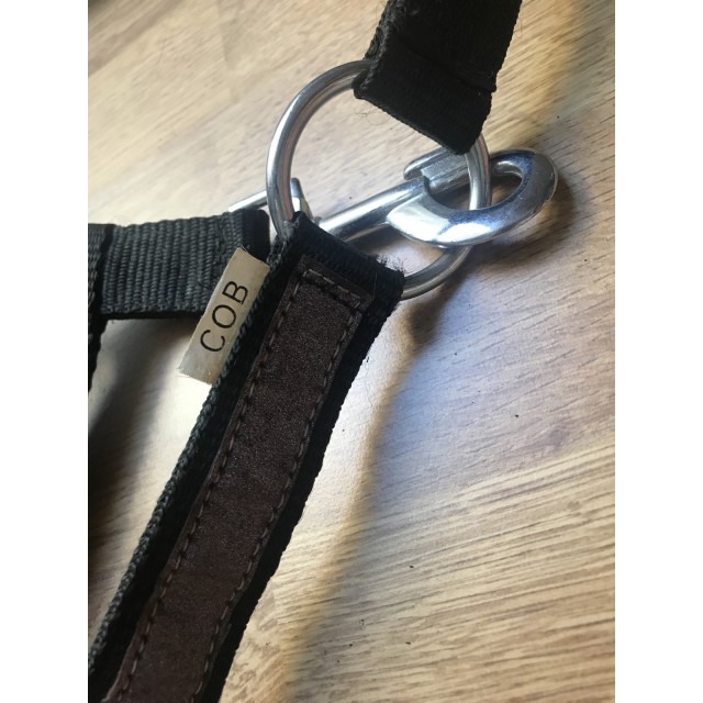 Licol sans longe avec paillettes COB