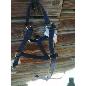 licol bleu marine poney