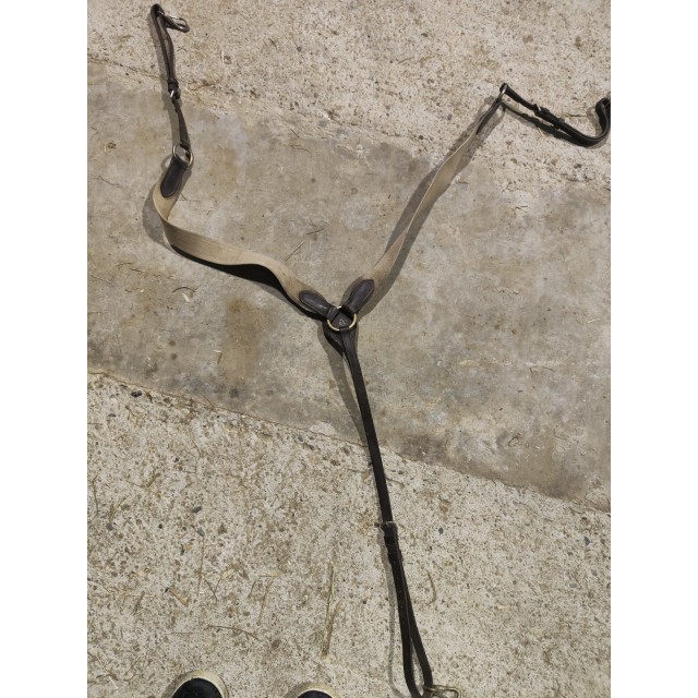 Colier de chasse avec martingale