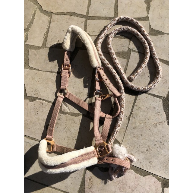 Licol rose gold
