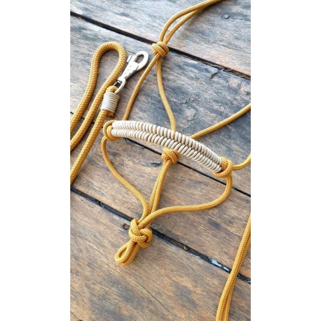 Licol en corde et longe shetland