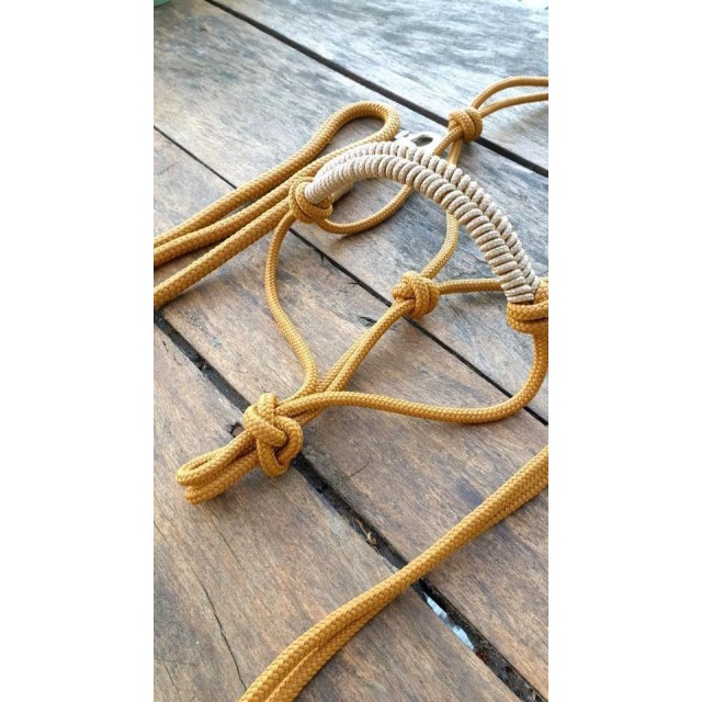 Licol en corde et longe shetland