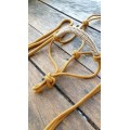 Licol en corde et longe shetland