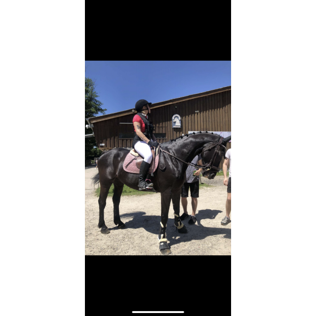 Gilet air bag Equitheme