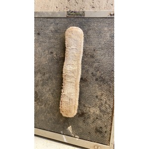 Sangle courte horze 65 cm