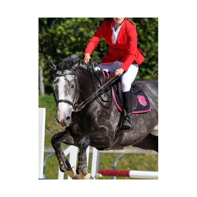 Veste de concours Equiline