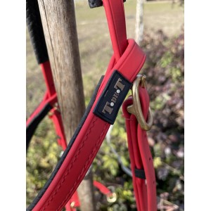 Side pull Biotack TdeT