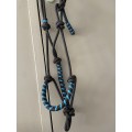 Licol éthologique marron et bleu
