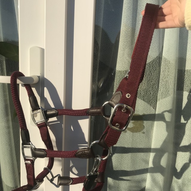 Licol+longe Bordeaux kramer