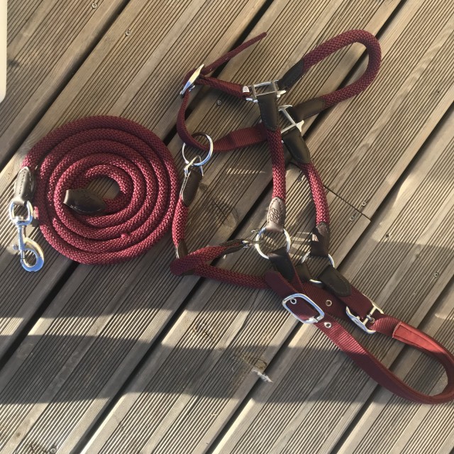 Licol+longe Bordeaux kramer