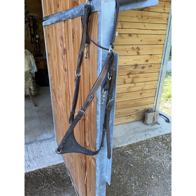 collier de chasse Canter