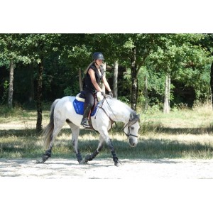 Tapis Paddock sport coupé Bleu roi