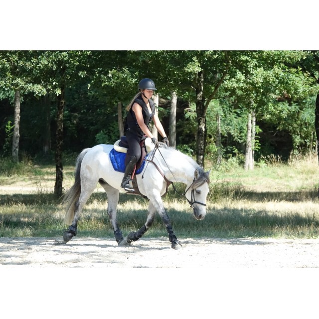 Tapis Paddock sport coupé Bleu roi