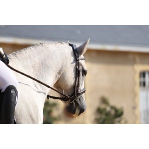 Bridon "Flying change" PS OF SWEDEN