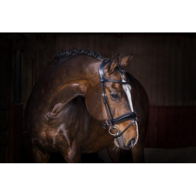 Bridon "Flying change" PS OF SWEDEN