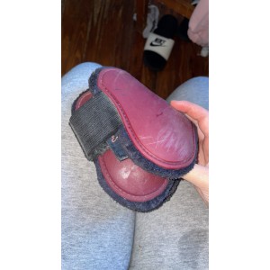 Guetre et protège boulet