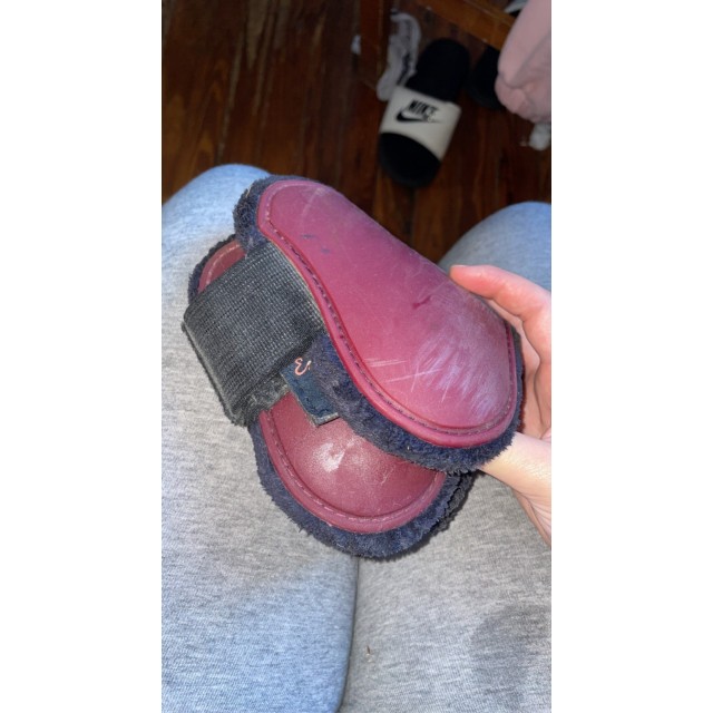 Guetre et protège boulet