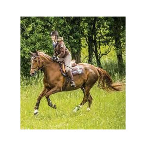 Ensemble Equithème CSI 5* Tour complet