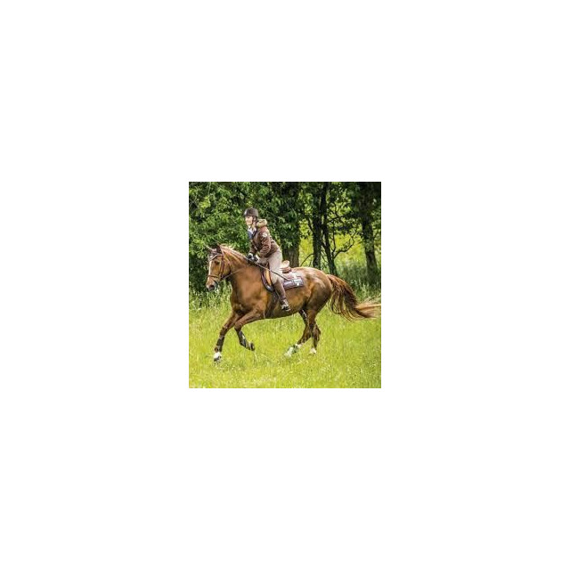 Ensemble Equithème CSI 5* Tour complet