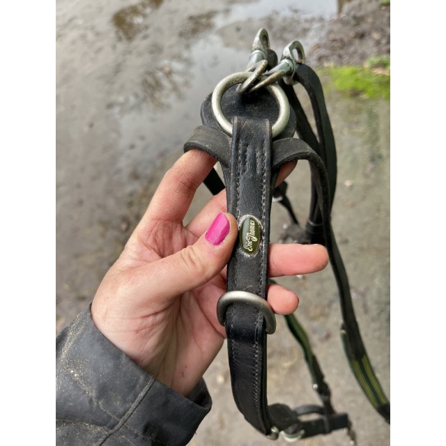 Collier de chasse Éric Thomas