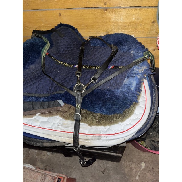 Collier de chasse Éric Thomas