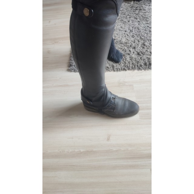 Chaps equi-theme élite